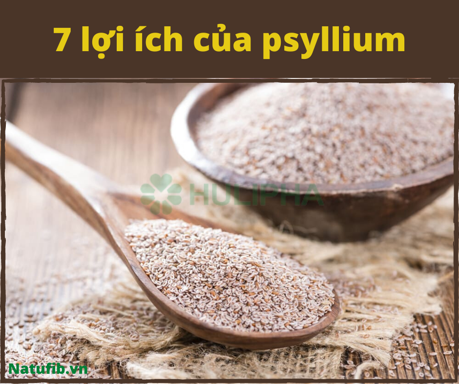 7 lợi ích của psyllium
