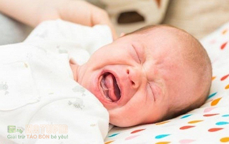 Cách làm dịu cơn đau bụng khiến trẻ sơ sinh khóc dạ đề